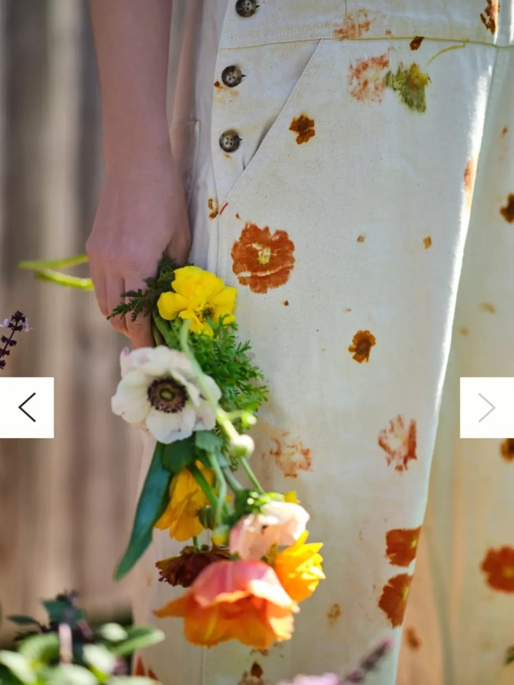 Anthropologie Flower Power Cotton Canvas Overalls - Picture 4 of 9